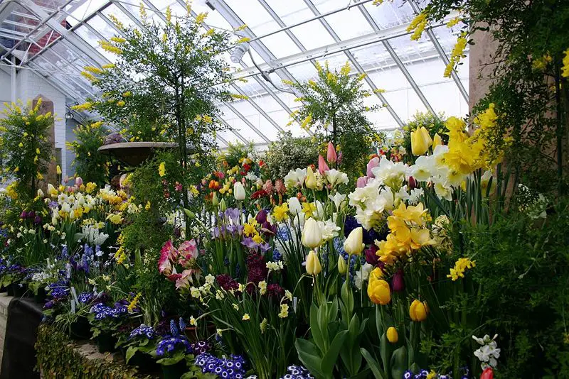 File:Smith botanic garden greenhouse.JPG