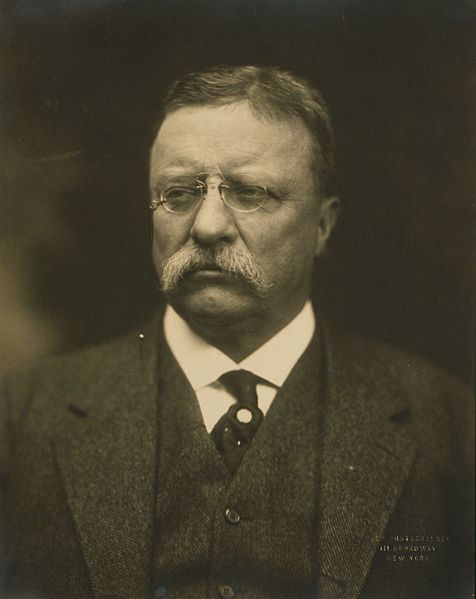File:T Roosevelt.jpg