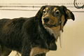 Thumbnail for version as of 16:19, 6 June 2006