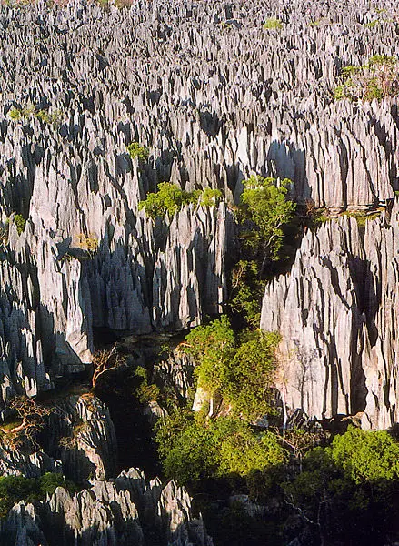 File:Tsingy de Bemaraha.jpg