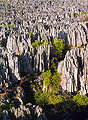 Thumbnail for version as of 16:13, 8 August 2006