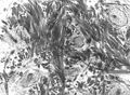 Thumbnail for version as of 21:54, 10 April 2007