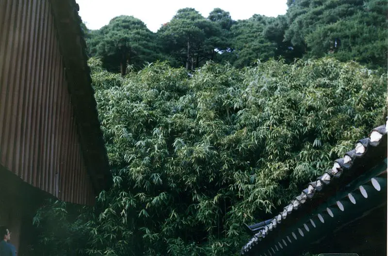 File:Confucian Scholar's Roof .jpg