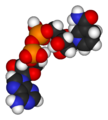 Thumbnail for version as of 05:16, 17 August 2006