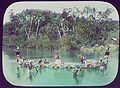 Thumbnail for version as of 04:22, 2 June 2006