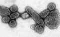 Thumbnail for version as of 00:35, 13 June 2006