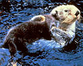 Thumbnail for version as of 19:28, 13 April 2006