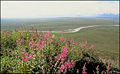 Thumbnail for version as of 03:47, 1 December 2005