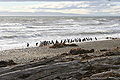 Thumbnail for version as of 01:54, 14 February 2009