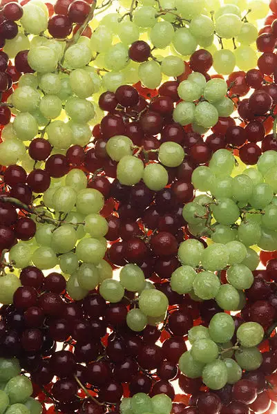 File:Ripe grapes.jpg