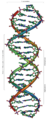 Thumbnail for version as of 12:55, 3 May 2006