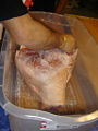 Thumbnail for version as of 21:46, 9 May 2008