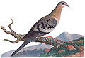 Thumbnail for version as of 23:08, 27 May 2007