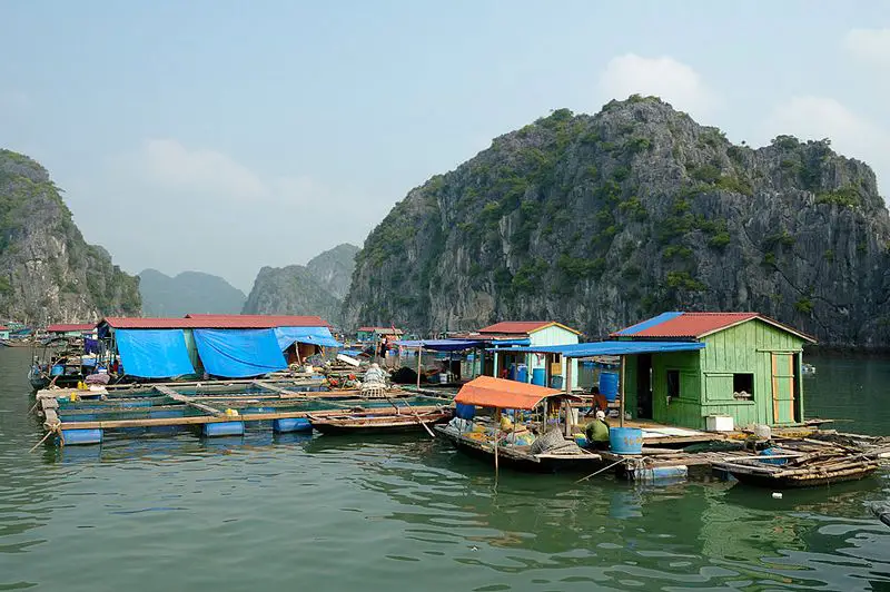 File:FishingVillage HaLongBay Vietnam (pixinn.net).jpg