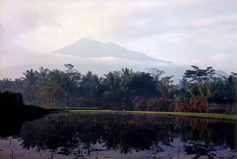 File:MerbabuSawah.jpg