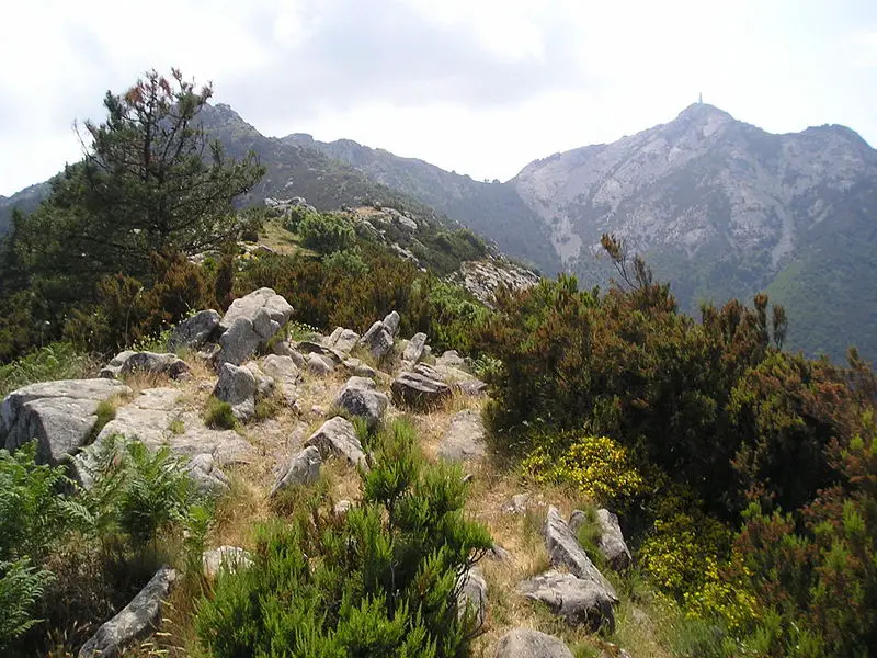 File:MteCapanne.JPG