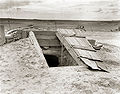 Thumbnail for version as of 19:29, 11 February 2009