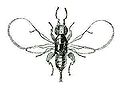 Thumbnail for version as of 23:51, 17 May 2008