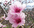 Thumbnail for version as of 20:34, 8 May 2007