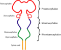 Thumbnail for version as of 10:44, 1 July 2006