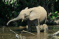 Thumbnail for version as of 21:47, 17 February 2009