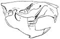 Thumbnail for version as of 23:45, 14 April 2007
