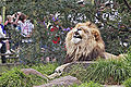 Thumbnail for version as of 03:57, 10 December 2007