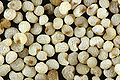 Thumbnail for version as of 21:26, 7 December 2007