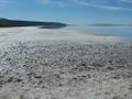 Thumbnail for version as of 17:34, 12 January 2009