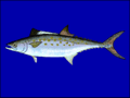 Thumbnail for version as of 22:09, 18 November 2007