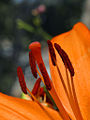 Thumbnail for version as of 10:50, 2 May 2006