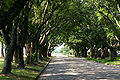 Thumbnail for version as of 22:07, 6 October 2007