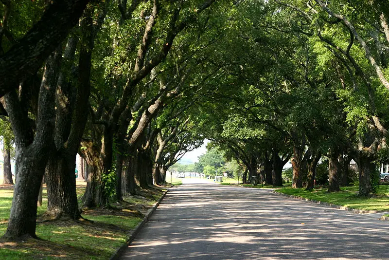 File:East bay street 2222.JPG