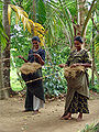 Thumbnail for version as of 15:48, 28 November 2007