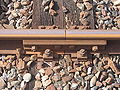 Thumbnail for version as of 06:02, 30 November 2007