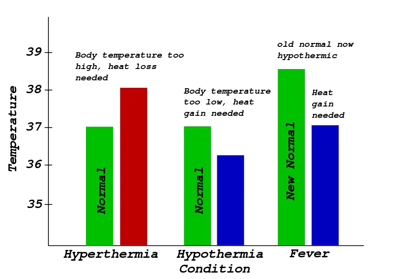 File:Fever-conceptual.svg