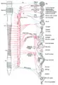 Thumbnail for version as of 17:00, 30 June 2006