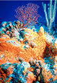Thumbnail for version as of 19:13, 12 February 2006
