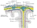 Thumbnail for version as of 00:42, 25 September 2008