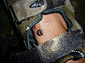 Thumbnail for version as of 03:20, 7 October 2007