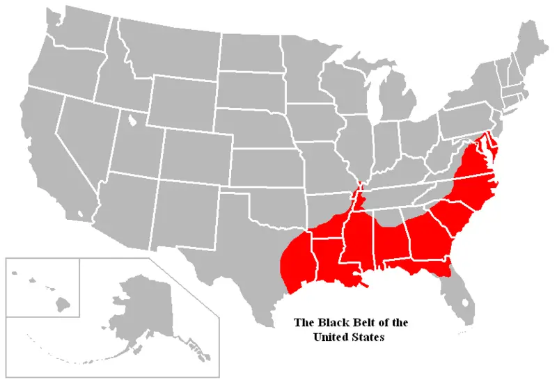 File:BlackbeltUS.PNG