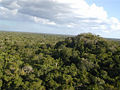 Thumbnail for version as of 05:42, 27 June 2007