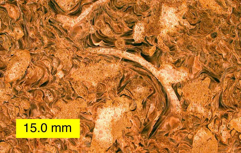 File:OysterBallInterior.jpg