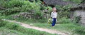 Thumbnail for version as of 21:05, 15 December 2007