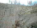 Thumbnail for version as of 01:15, 10 November 2008