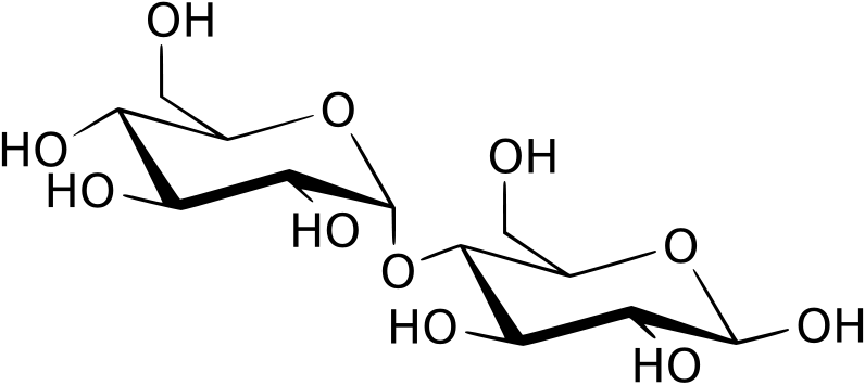 File:Maltose structure.svg