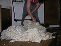 Thumbnail for version as of 00:05, 5 April 2007