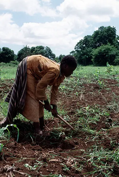 File:Somalia farmer woman.jpg