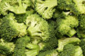 Thumbnail for version as of 16:23, 17 July 2007