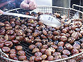 Thumbnail for version as of 17:59, 13 April 2008